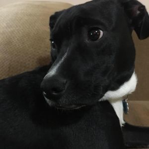 Meet your Posher, Ceejay